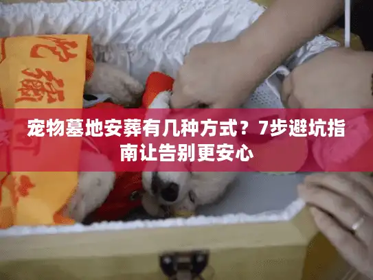宠物墓地安葬有几种方式？7步避坑指南让告别更安心