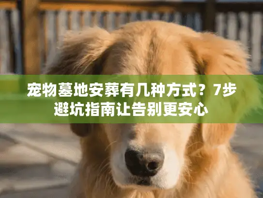 宠物墓地安葬有几种方式？7步避坑指南让告别更安心