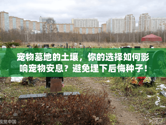 宠物墓地的土壤，你的选择如何影响宠物安息？避免埋下后悔种子！