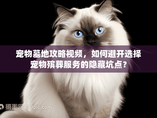 宠物墓地攻略视频，如何避开选择宠物殡葬服务的隐藏坑点？