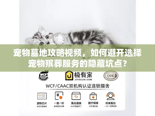 宠物墓地攻略视频，如何避开选择宠物殡葬服务的隐藏坑点？
