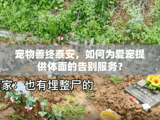 宠物善终泰安,如何为爱宠提供体面的告别服务? 宠物善终泰安,如何为爱宠提供体面的告别服务?