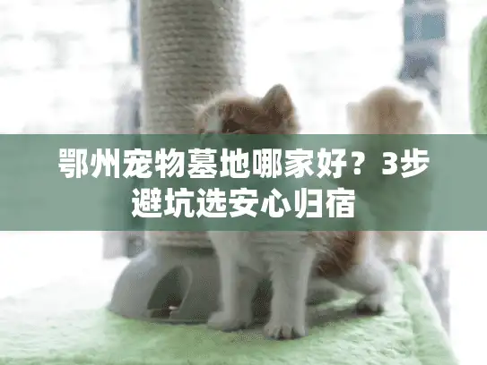 鄂州宠物墓地哪家好?3步避坑选安心归宿 鄂州宠物墓地哪家好?3步避坑选安心归宿