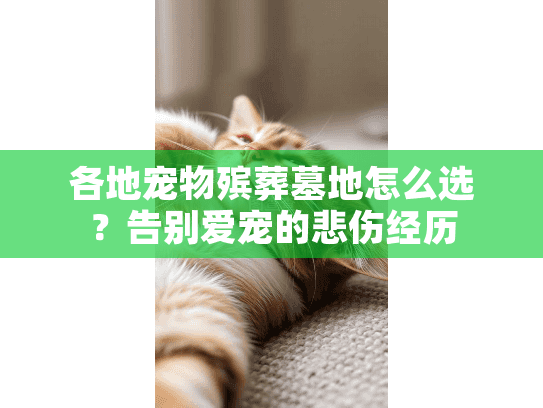 各地宠物殡葬墓地怎么选?告别爱宠的悲伤经历 各地宠物殡葬墓地怎么选?告别爱宠的悲伤经历