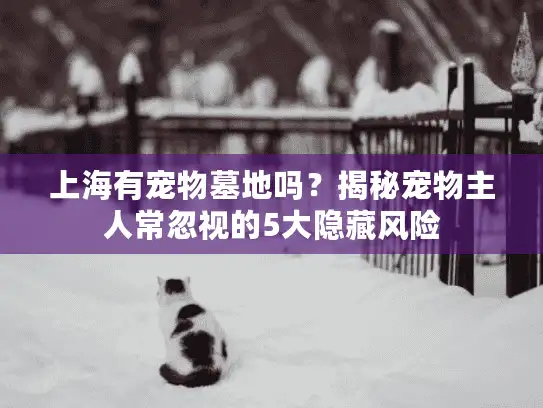 上海有宠物墓地吗？揭秘宠物主人常忽视的5大隐藏风险