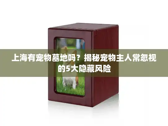 上海有宠物墓地吗？揭秘宠物主人常忽视的5大隐藏风险