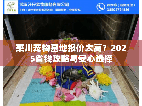 栾川宠物墓地报价太高？2025省钱攻略与安心选择