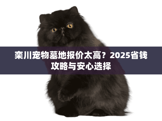 栾川宠物墓地报价太高？2025省钱攻略与安心选择