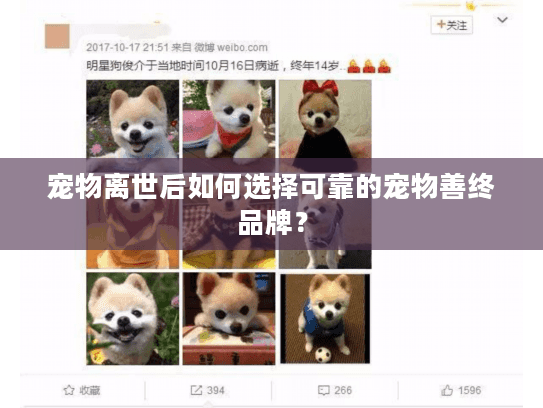 宠物离世后如何选择可靠的宠物善终品牌？