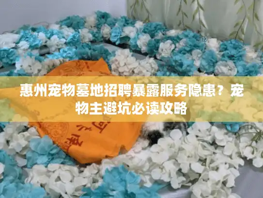 惠州宠物墓地招聘暴露服务隐患？宠物主避坑必读攻略