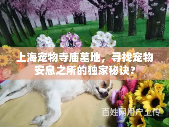 上海宠物寺庙墓地,寻找宠物安息之所的独家秘诀? 上海宠物寺庙墓地,寻找宠物安息之所的独家秘诀?