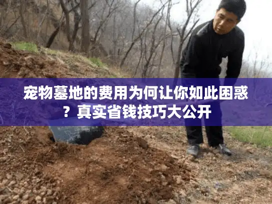 宠物墓地的费用为何让你如此困惑？真实省钱技巧大公开