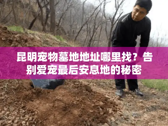 昆明宠物墓地地址哪里找？告别爱宠最后安息地的秘密