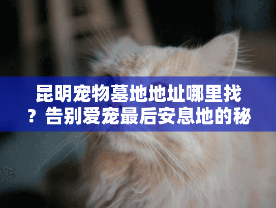 昆明宠物墓地地址哪里找？告别爱宠最后安息地的秘密