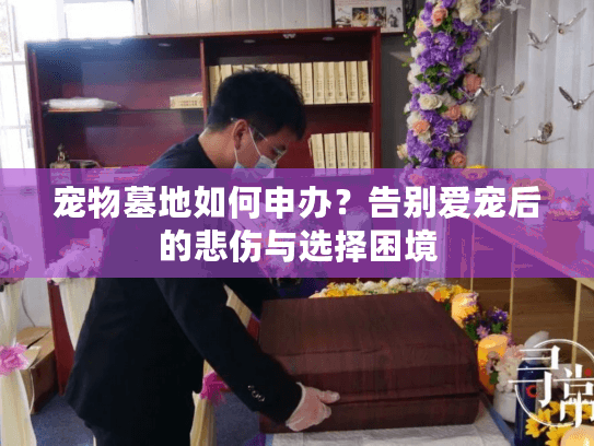 宠物墓地如何申办?告别爱宠后的悲伤与选择困境 宠物墓地如何申办?告别爱宠后的悲伤与选择困境