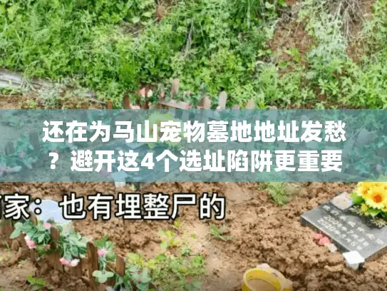 还在为马山宠物墓地地址发愁?避开这4个选址陷阱更重要 还在为马山宠物墓地地址发愁?避开这4个选址陷阱更重要