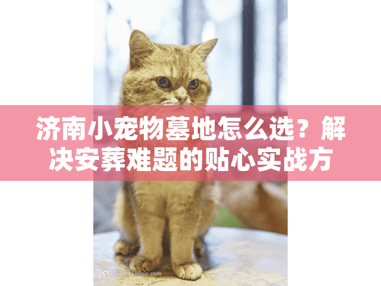 济南小宠物墓地怎么选?解决安葬难题的贴心实战方案 济南小宠物墓地怎么选?解决安葬难题的贴心实战方案