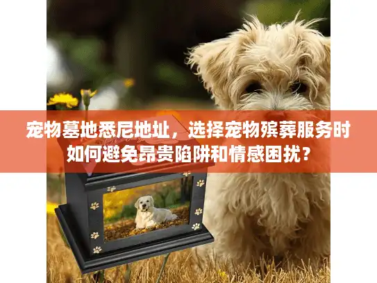 宠物墓地悉尼地址，选择宠物殡葬服务时如何避免昂贵陷阱和情感困扰？