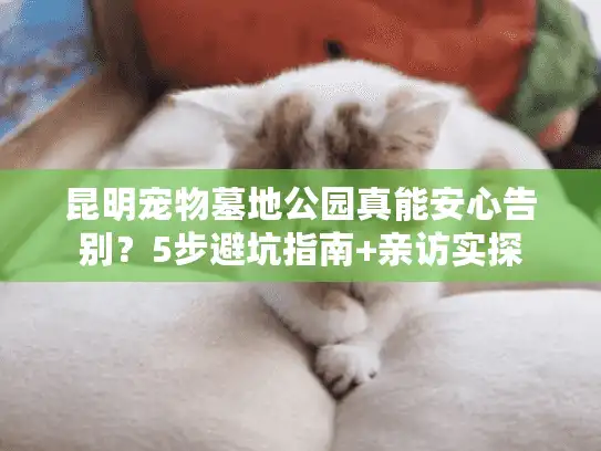 昆明宠物墓地公园真能安心告别?5步避坑指南+亲访实探 昆明宠物墓地公园真能安心告别?5步避坑指南+亲访实探