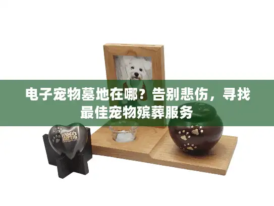 电子宠物墓地在哪？告别悲伤，寻找最佳宠物殡葬服务