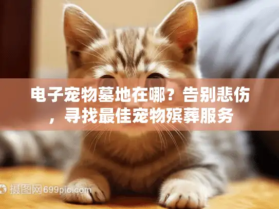 电子宠物墓地在哪？告别悲伤，寻找最佳宠物殡葬服务