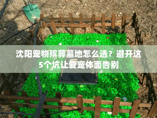 沈阳宠物殡葬墓地怎么选？避开这5个坑让爱宠体面告别