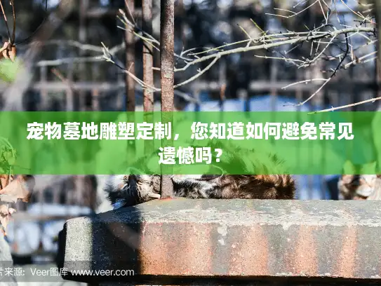 宠物墓地雕塑定制,您知道如何避免常见遗憾吗? 宠物墓地雕塑定制,您知道如何避免常见遗憾吗?