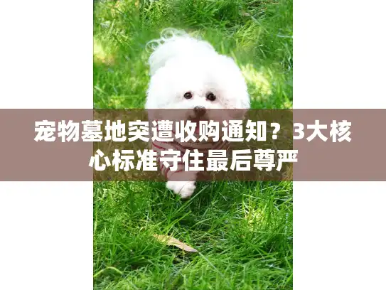宠物墓地突遭收购通知？3大核心标准守住最后尊严