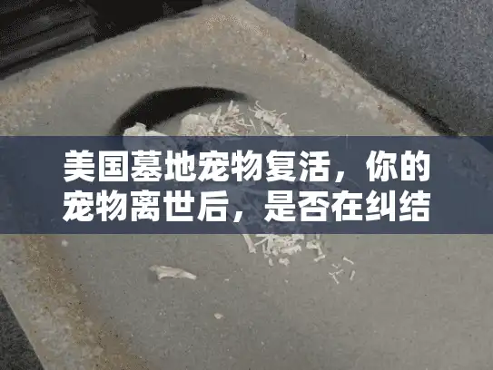 美国墓地宠物复活，你的宠物离世后，是否在纠结如何选择可靠殡葬服务？