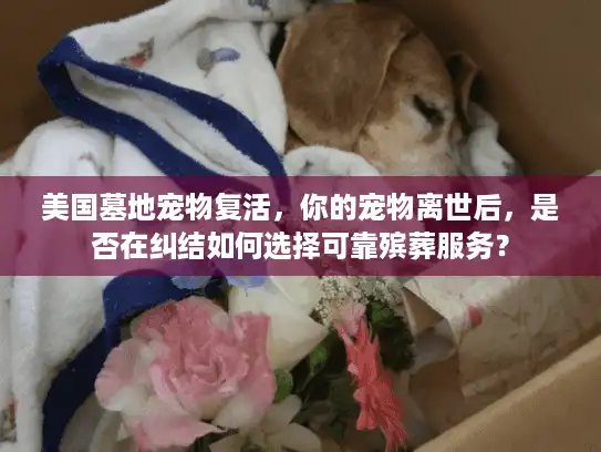 美国墓地宠物复活，你的宠物离世后，是否在纠结如何选择可靠殡葬服务？