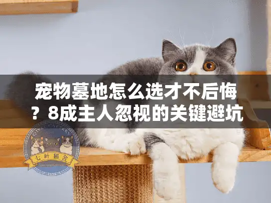 宠物墓地怎么选才不后悔?8成主人忽视的关键避坑点揭秘 宠物墓地怎么选才不后悔?8成主人忽视的关键避坑点揭秘