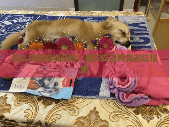 怎么申请宠物墓地？骨灰安置真实避坑指南