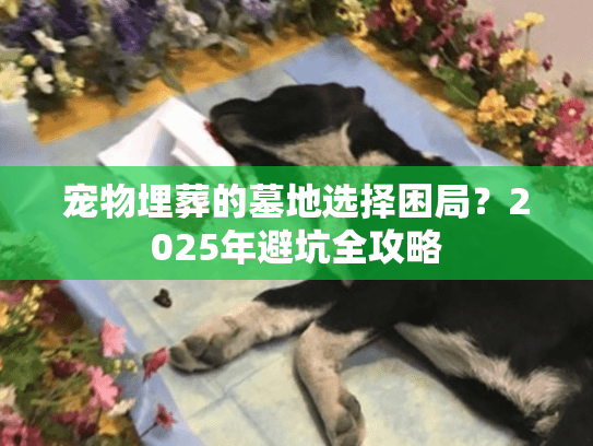 宠物埋葬的墓地选择困局？2025年避坑全攻略