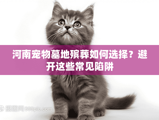 河南宠物墓地殡葬如何选择？避开这些常见陷阱