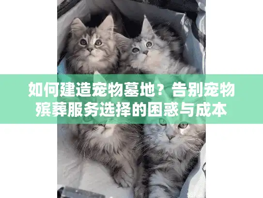如何建造宠物墓地？告别宠物殡葬服务选择的困惑与成本