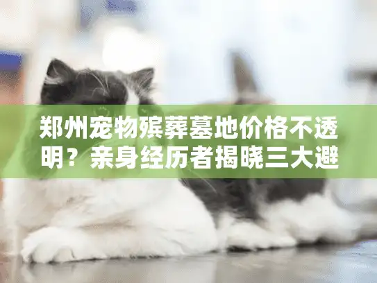 郑州宠物殡葬墓地价格不透明?亲身经历者揭晓三大避坑指南 郑州宠物殡葬墓地价格不透明?亲身经历者揭晓三大避坑指南
