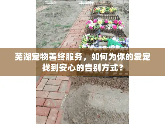 芜湖宠物善终服务，如何为你的爱宠找到安心的告别方式？