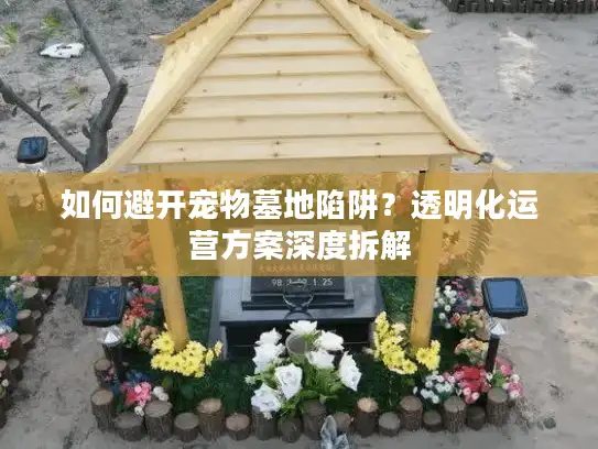 如何避开宠物墓地陷阱？透明化运营方案深度拆解
