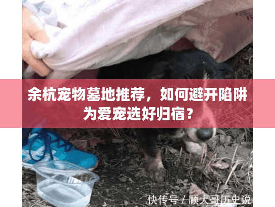 余杭宠物墓地推荐，如何避开陷阱为爱宠选好归宿？