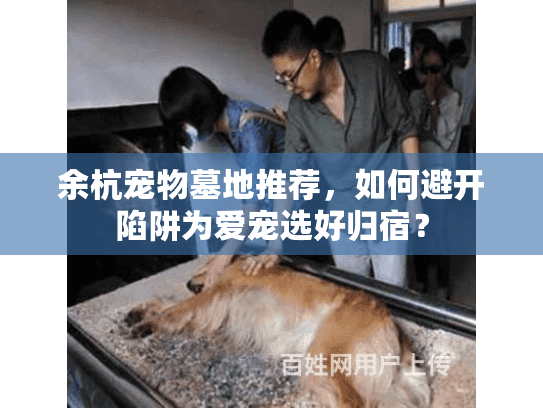 余杭宠物墓地推荐，如何避开陷阱为爱宠选好归宿？