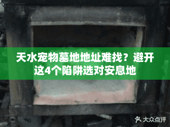 天水宠物墓地地址难找？避开这4个陷阱选对安息地