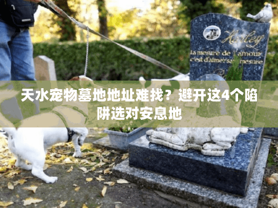 天水宠物墓地地址难找？避开这4个陷阱选对安息地