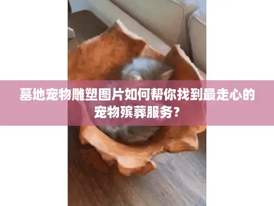 墓地宠物雕塑图片如何帮你找到最走心的宠物殡葬服务? 墓地宠物雕塑图片如何帮你找到最走心的宠物殡葬服务?