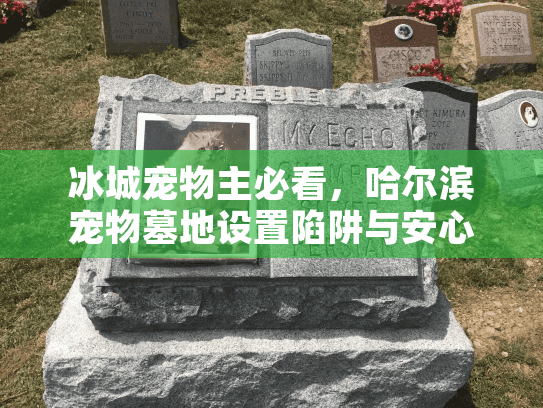 冰城宠物主必看，哈尔滨宠物墓地设置陷阱与安心指南（含避坑地图）