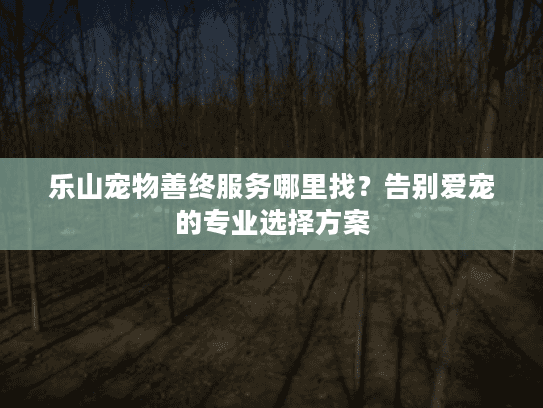 乐山宠物善终服务哪里找？告别爱宠的专业选择方案