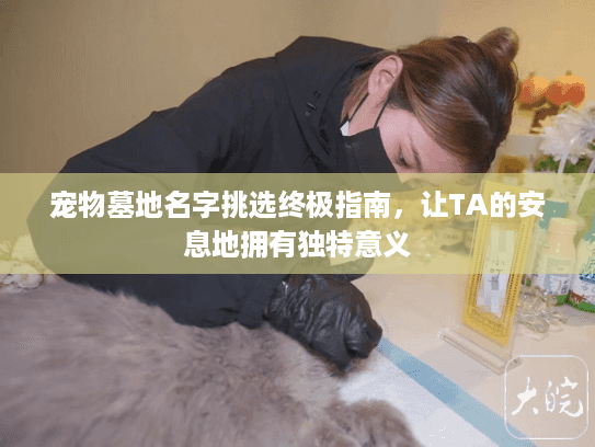 宠物墓地名字挑选终极指南,让TA的安息地拥有独特意义 宠物墓地名字挑选终极指南,让TA的安息地拥有独特意义