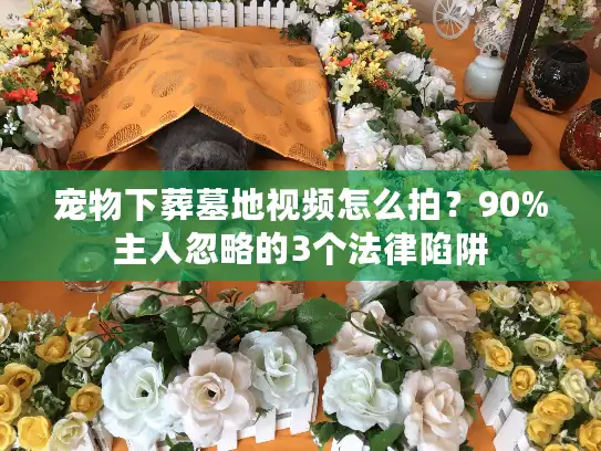 宠物下葬墓地视频怎么拍？90%主人忽略的3个法律陷阱