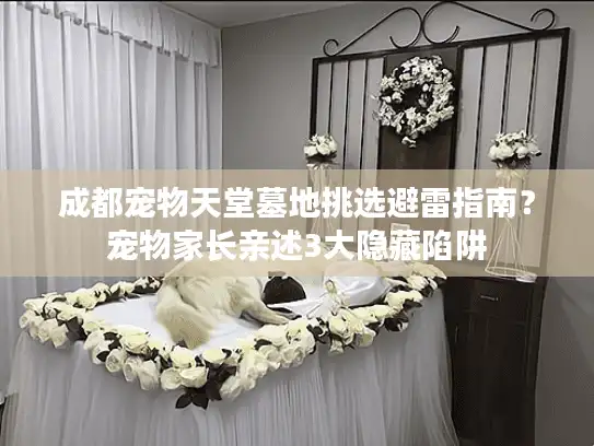 成都宠物天堂墓地挑选避雷指南?宠物家长亲述3大隐藏陷阱 成都宠物天堂墓地挑选避雷指南?宠物家长亲述3大隐藏陷阱