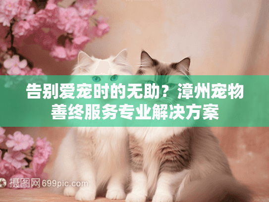 告别爱宠时的无助？漳州宠物善终服务专业解决方案