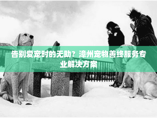 告别爱宠时的无助？漳州宠物善终服务专业解决方案